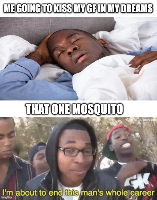 Sleeping, dreaming, mosquito, gf, kiss | ME GOING TO KISS MY GF IN MY DREAMS; THAT ONE MOSQUITO; u/SourD-810 | image tagged in i m about to end this man s whole career | made w/ Imgflip meme maker