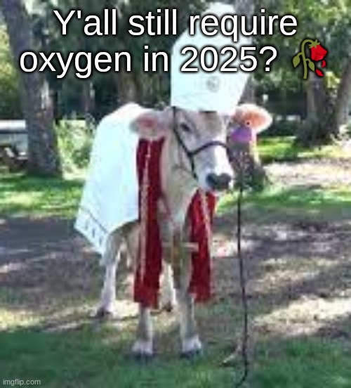 HOLY COW! | Y'all still require oxygen in 2025? 🥀 | image tagged in holy cow | made w/ Imgflip meme maker