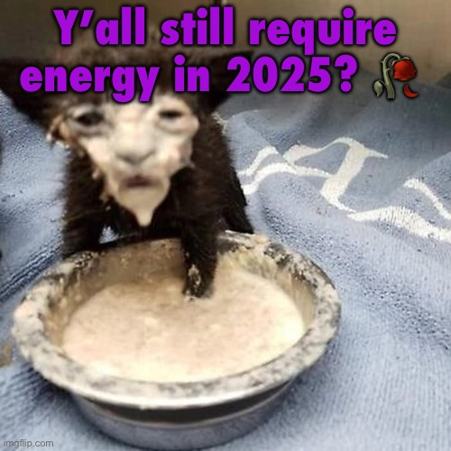 Pie :3 | Y’all still require energy in 2025? 🥀 | image tagged in pie 3 | made w/ Imgflip meme maker