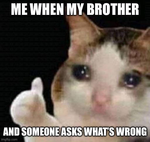 sad thumbs up cat | ME WHEN MY BROTHER; AND SOMEONE ASKS WHAT’S WRONG | image tagged in sad thumbs up cat | made w/ Imgflip meme maker