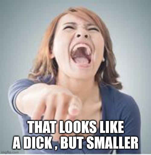 Laughing and pointing | THAT LOOKS LIKE A DICK , BUT SMALLER | image tagged in laughing and pointing | made w/ Imgflip meme maker