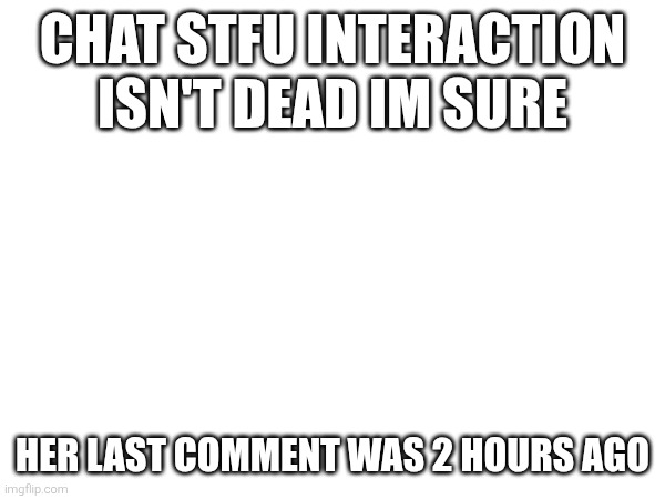 CHAT STFU INTERACTION ISN'T DEAD IM SURE; HER LAST COMMENT WAS 2 HOURS AGO | image tagged in sans of topic | made w/ Imgflip meme maker