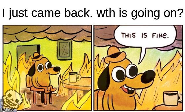 This Is Fine | I just came back. wth is going on? | image tagged in memes,this is fine | made w/ Imgflip meme maker