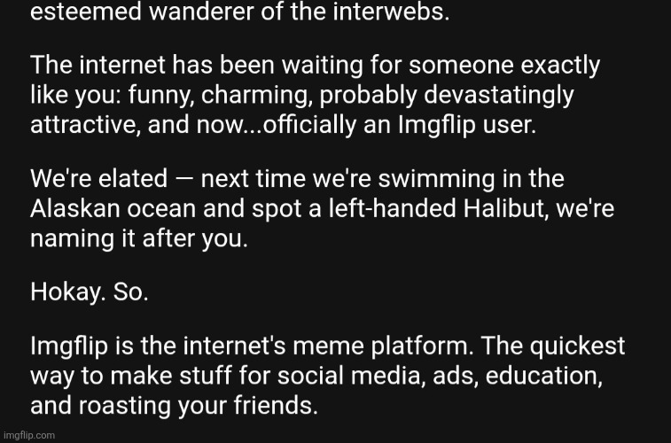 Vro imgflip is so goofy, i made an alt and this is the email they sent. They pretty much called me a redditor lmao | image tagged in a | made w/ Imgflip meme maker