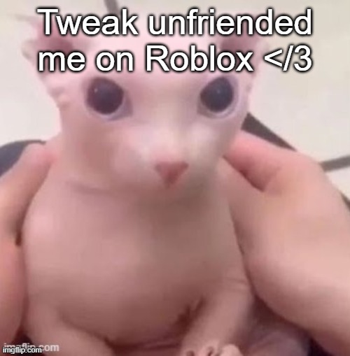 bingus | Tweak unfriended me on Roblox </3 | image tagged in bingus | made w/ Imgflip meme maker