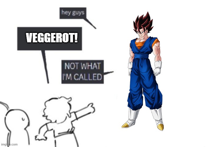 I'm not veggerot I don't know what the english manga did to me | VEGGEROT! | image tagged in hey guys - not what i'm called,vegeta,goku,dbz fusion,anime,wrong | made w/ Imgflip meme maker