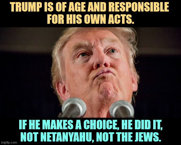 TRUMP IS OF AGE AND RESPONSIBLE 
FOR HIS OWN ACTS. IF HE MAKES A CHOICE, HE DID IT, 
NOT NETANYAHU, NOT THE JEWS. | image tagged in trump,adult,choices,netanyahu,jews | made w/ Imgflip meme maker