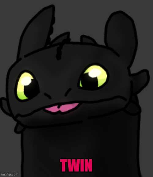 TWIN | made w/ Imgflip meme maker