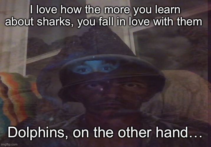 I love shar :) | I love how the more you learn about sharks, you fall in love with them; Dolphins, on the other hand… | image tagged in virian ptsd | made w/ Imgflip meme maker