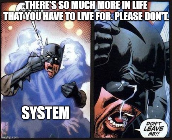 System, don't do it! | THERE'S SO MUCH MORE IN LIFE THAT YOU HAVE TO LIVE FOR. PLEASE DON'T. SYSTEM | image tagged in batman don't leave me,system dont leave us | made w/ Imgflip meme maker