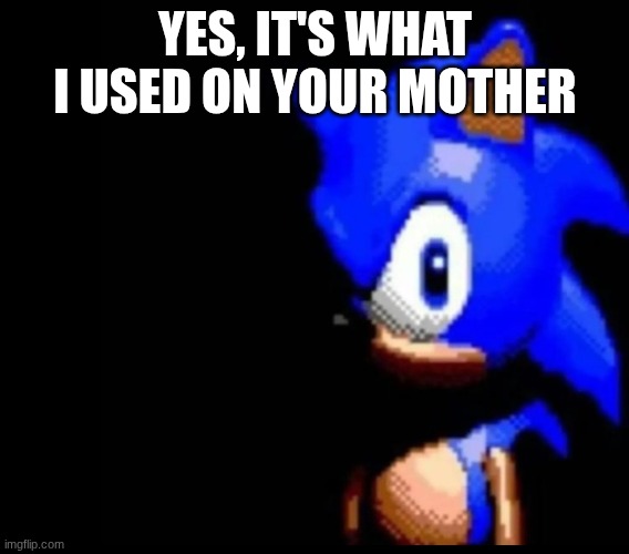 Sonic stares | YES, IT'S WHAT I USED ON YOUR MOTHER | image tagged in sonic stares | made w/ Imgflip meme maker