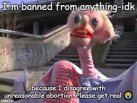 Ratafak Plachta | I'm banned from anything-idk; because I disagree with unreasonable abortion. Please get real 😭 | image tagged in ratafak plachta | made w/ Imgflip meme maker