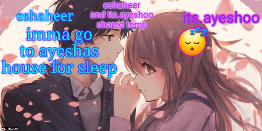 gn chat | imma go to ayeshas house for sleep; 😴 | image tagged in eshaheer and its ayeshoo shared template | made w/ Imgflip meme maker