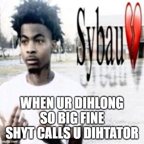 Sybau | WHEN UR DIHLONG SO BIG FINE SHYT CALLS U DIHTATOR | image tagged in sybau | made w/ Imgflip meme maker