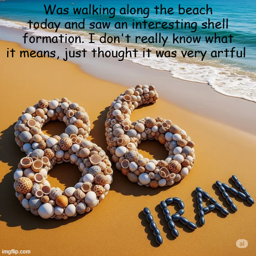 Cool seashell formation | Was walking along the beach today and saw an interesting shell formation. I don't really know what it means, just thought it was very artful | image tagged in political,reposts | made w/ Imgflip meme maker