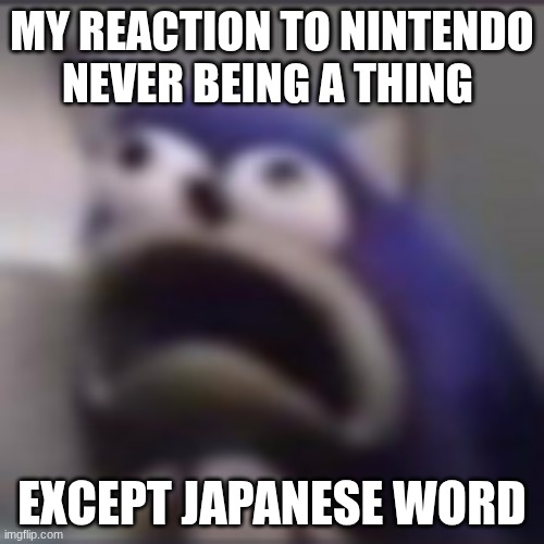 distress | MY REACTION TO NINTENDO NEVER BEING A THING; EXCEPT JAPANESE WORD | image tagged in distress | made w/ Imgflip meme maker
