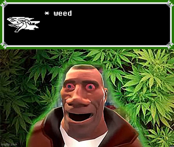 image tagged in berdly likes weed,soldier high | made w/ Imgflip meme maker