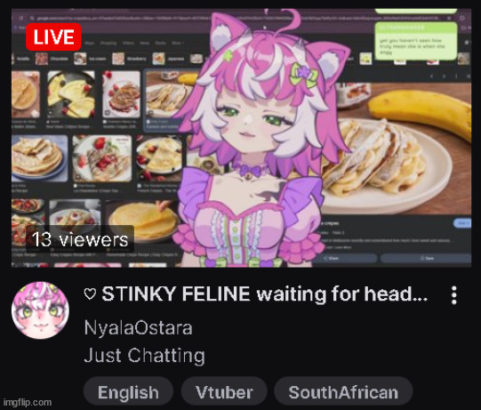 Stinky feline waiting for head | made w/ Imgflip meme maker