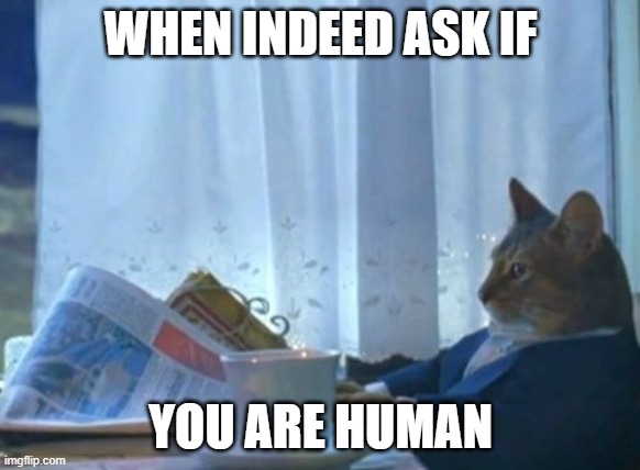 I Should Buy A Boat Cat | WHEN INDEED ASK IF; YOU ARE HUMAN | image tagged in memes,i should buy a boat cat | made w/ Imgflip meme maker