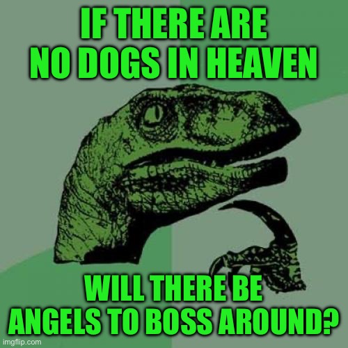Philosoraptor | IF THERE ARE NO DOGS IN HEAVEN; WILL THERE BE ANGELS TO BOSS AROUND? | image tagged in memes,philosoraptor | made w/ Imgflip meme maker