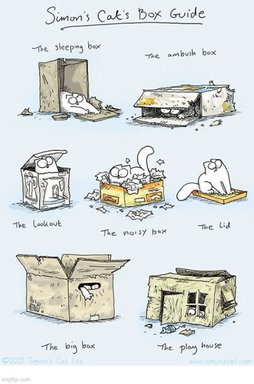 That’s quite a variety… | image tagged in cats,cartoons,simons cat,box types | made w/ Imgflip meme maker