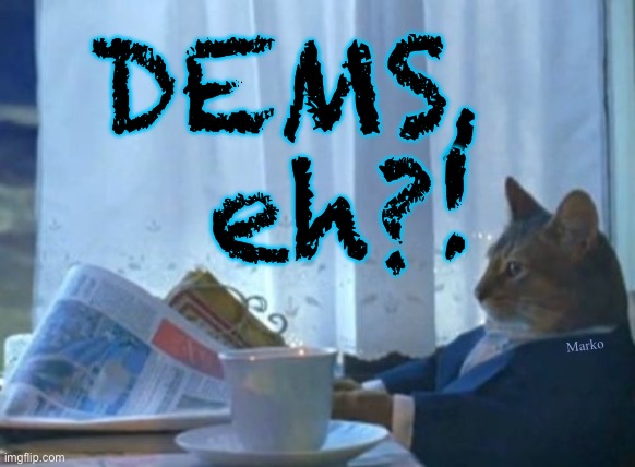 Astounded, but Not surprised. | DEMS,
eh?! Marko | image tagged in memes,i should buy a boat cat | made w/ Imgflip meme maker