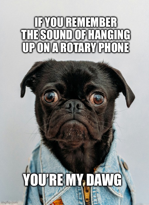 Phone home to the 80s | IF YOU REMEMBER THE SOUND OF HANGING UP ON A ROTARY PHONE; YOU’RE MY DAWG | image tagged in yo dawg | made w/ Imgflip meme maker