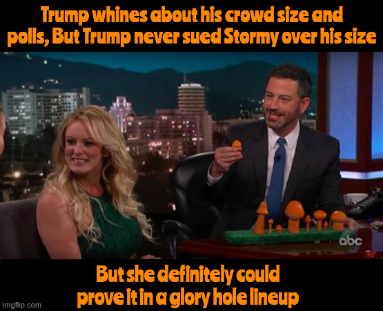 Trump whines about everything except | Trump whines about his crowd size and polls, But Trump never sued Stormy over his size; But she definitely could prove it in a glory hole lineup | image tagged in teeny weeny,stormy daniels,jimmy kinnel,tiny d,cheats on golf and wife,broken oath | made w/ Imgflip meme maker
