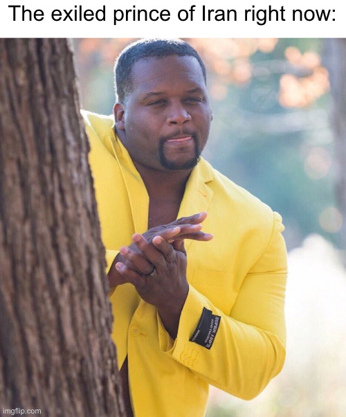 The exiled prince of Iran right now | The exiled prince of Iran right now: | image tagged in black guy hiding behind tree,iran,shah,middle east | made w/ Imgflip meme maker