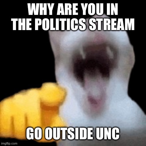 You REALLY want to see some political memes ?✌️ | image tagged in cat | made w/ Imgflip meme maker