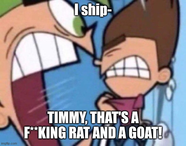 you're not supposed to get this, just look and laugh | I ship-; TIMMY, THAT'S A F**KING RAT AND A GOAT! | image tagged in cosmo yelling at timmy | made w/ Imgflip meme maker