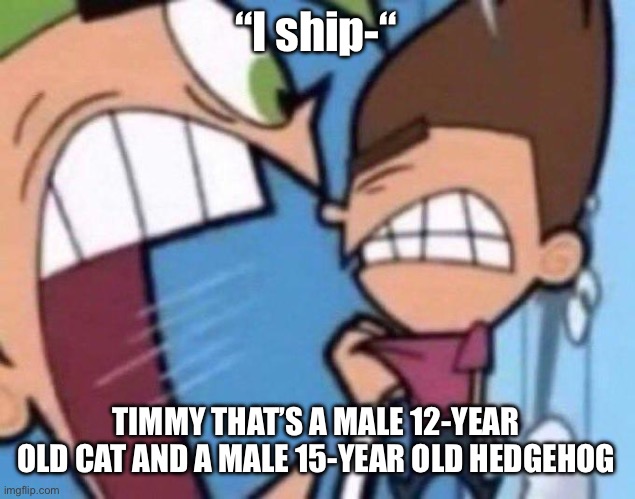 Idk Sonic’s official age, just going by what Wikipedia said | “I ship-“; TIMMY THAT’S A MALE 12-YEAR OLD CAT AND A MALE 15-YEAR OLD HEDGEHOG | image tagged in cosmo yelling at timmy | made w/ Imgflip meme maker