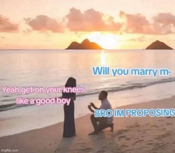 msmg if they got proposed to | made w/ Imgflip meme maker
