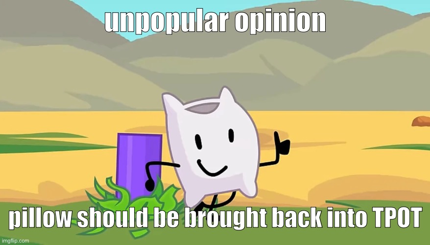 its sad that pillows eliminated..(in my opinion) (Fries: ...ok as long as she doesn't kill anyone) | unpopular opinion; pillow should be brought back into TPOT | image tagged in bfdi | made w/ Imgflip meme maker