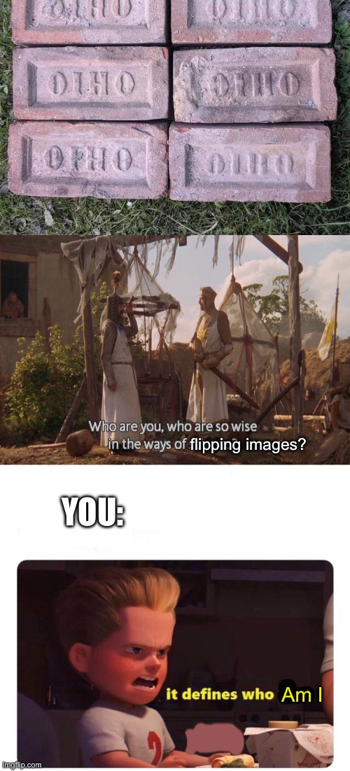 flipping images? YOU:; Am I | image tagged in who are you so wise in the ways of science,it defines who i am | made w/ Imgflip meme maker