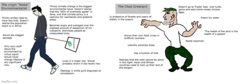 Virgin left-wing environmentalism vs Chad right-wing environmentalism (not supporting fascism) | image tagged in virgin vs chad | made w/ Imgflip meme maker