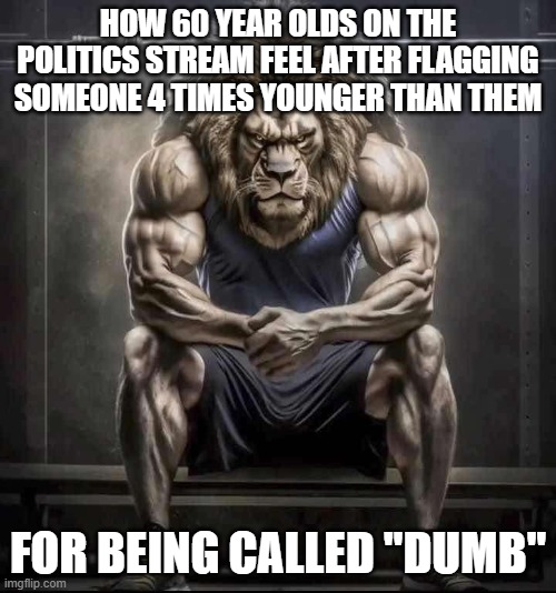 Partially based of true events :( | HOW 60 YEAR OLDS ON THE POLITICS STREAM FEEL AFTER FLAGGING SOMEONE 4 TIMES YOUNGER THAN THEM; FOR BEING CALLED "DUMB" | image tagged in how bro felt after saying that | made w/ Imgflip meme maker
