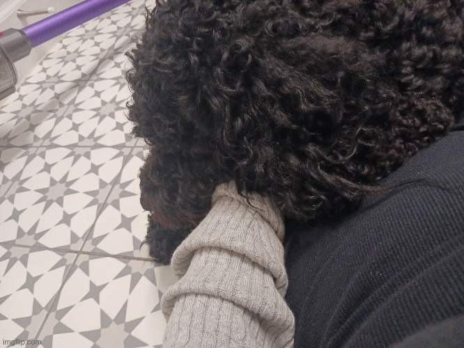 such a sweet doggo | made w/ Imgflip meme maker