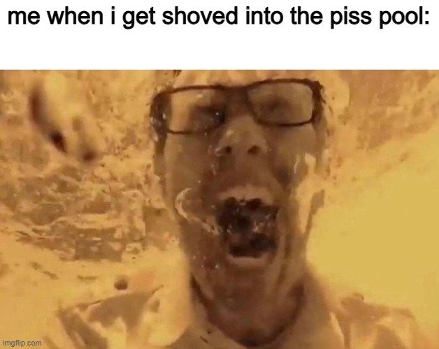 The Angry Video Game Nerd Screaming Underwater | me when i get shoved into the piss pool: | image tagged in the angry video game nerd screaming underwater | made w/ Imgflip meme maker
