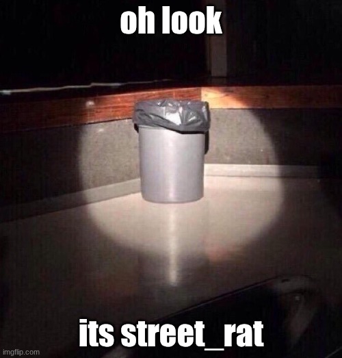 Trash Can Spotlight | oh look; its street_rat | image tagged in trash can spotlight | made w/ Imgflip meme maker