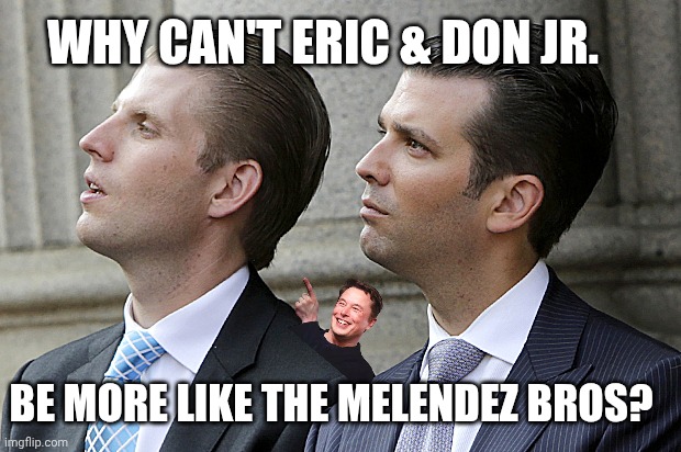 If Donny and Eric could accomplish anything other than stealing from charities... | WHY CAN'T ERIC & DON JR. BE MORE LIKE THE MELENDEZ BROS? | image tagged in don jr and eric trump,donald trump,maga,oedipus rex,patricide | made w/ Imgflip meme maker