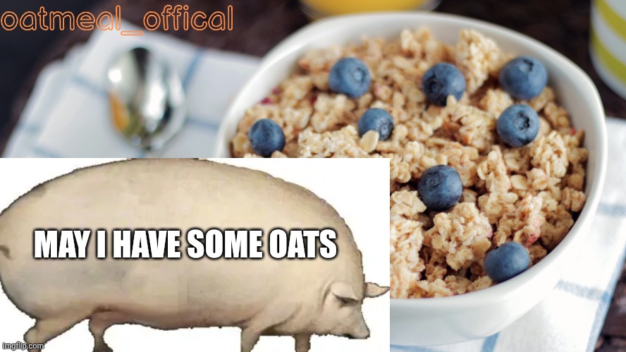 The Oat Temp | MAY I HAVE SOME OATS | image tagged in the oat temp | made w/ Imgflip meme maker