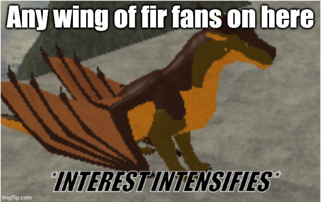 wing of fir | Any wing of fir fans on here | image tagged in interest intensifies | made w/ Imgflip meme maker