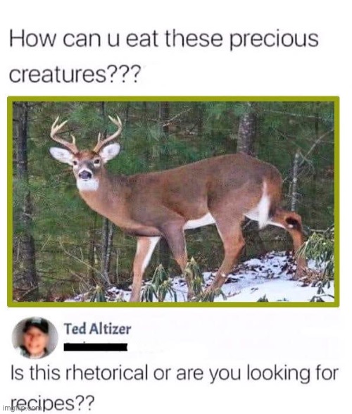 Bambi | image tagged in deer,bambi,food,recipe,question | made w/ Imgflip meme maker