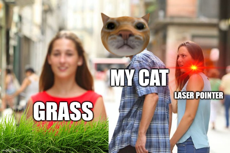 Distracted Boyfriend | MY CAT; LASER POINTER; GRASS | image tagged in memes,distracted boyfriend | made w/ Imgflip meme maker