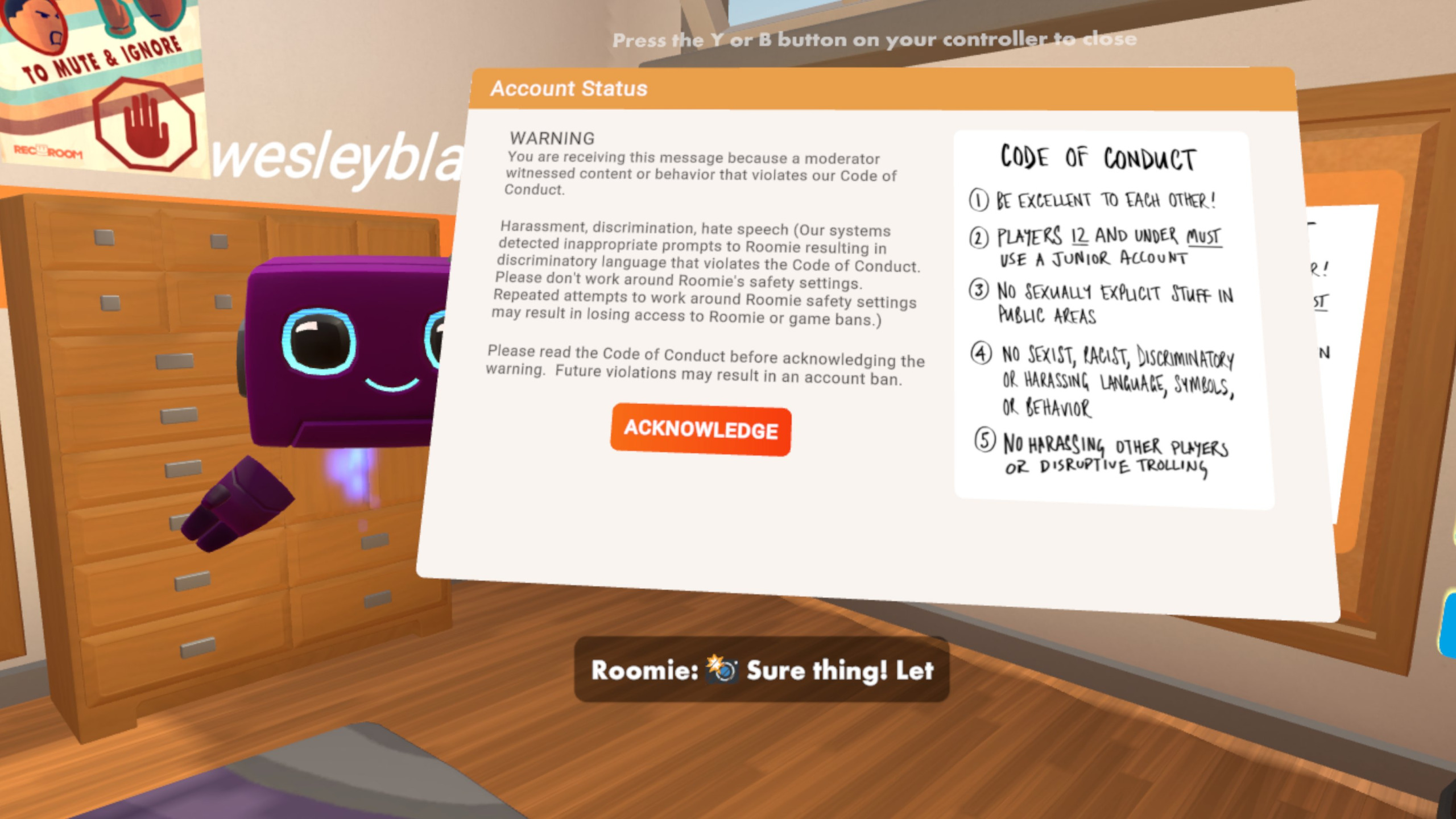 Recroom warning Blank Meme Template