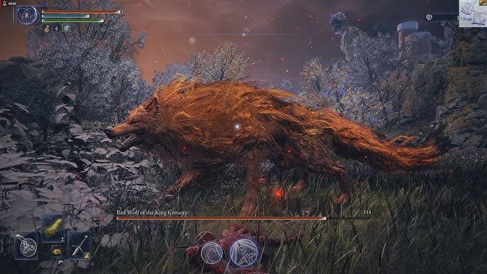red wolf Blank Meme Template