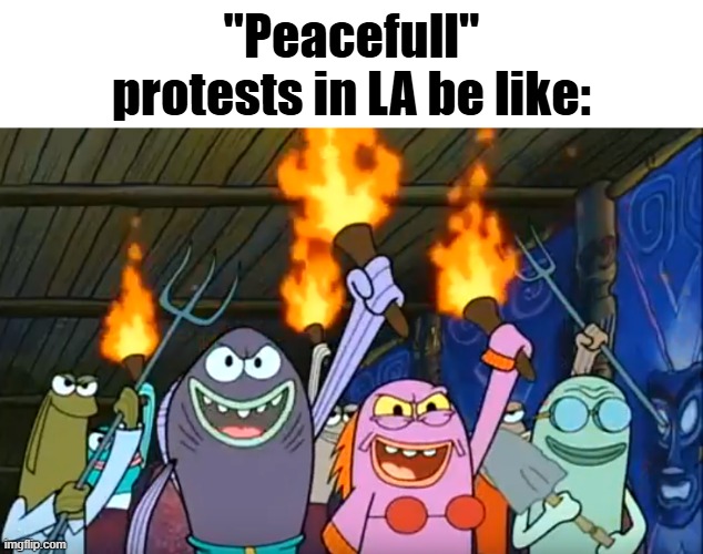 crazy. | "Peacefull" protests in LA be like: | image tagged in let's start a riot spongebob meme | made w/ Imgflip meme maker