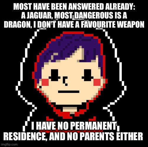 MOST HAVE BEEN ANSWERED ALREADY: A JAGUAR, MOST DANGEROUS IS A DRAGON, I DON’T HAVE A FAVOURITE WEAPON I HAVE NO PERMANENT RESIDENCE, AND NO | made w/ Imgflip meme maker