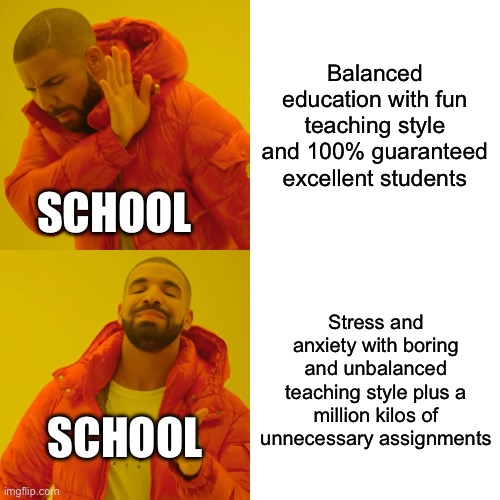 :) | Balanced education with fun teaching style and 100% guaranteed excellent students; SCHOOL; Stress and anxiety with boring and unbalanced teaching style plus a million kilos of unnecessary assignments; SCHOOL | image tagged in memes,drake hotline bling | made w/ Imgflip meme maker